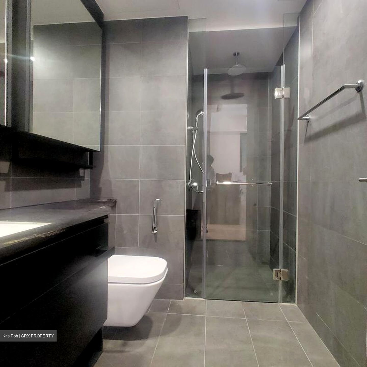 Park Colonial (D13), Condominium #515597541